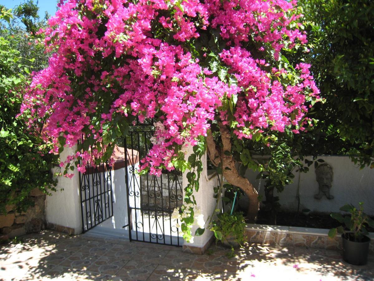 Eleftheria Lindian Studios I Λίνδος Εξωτερικό φωτογραφία