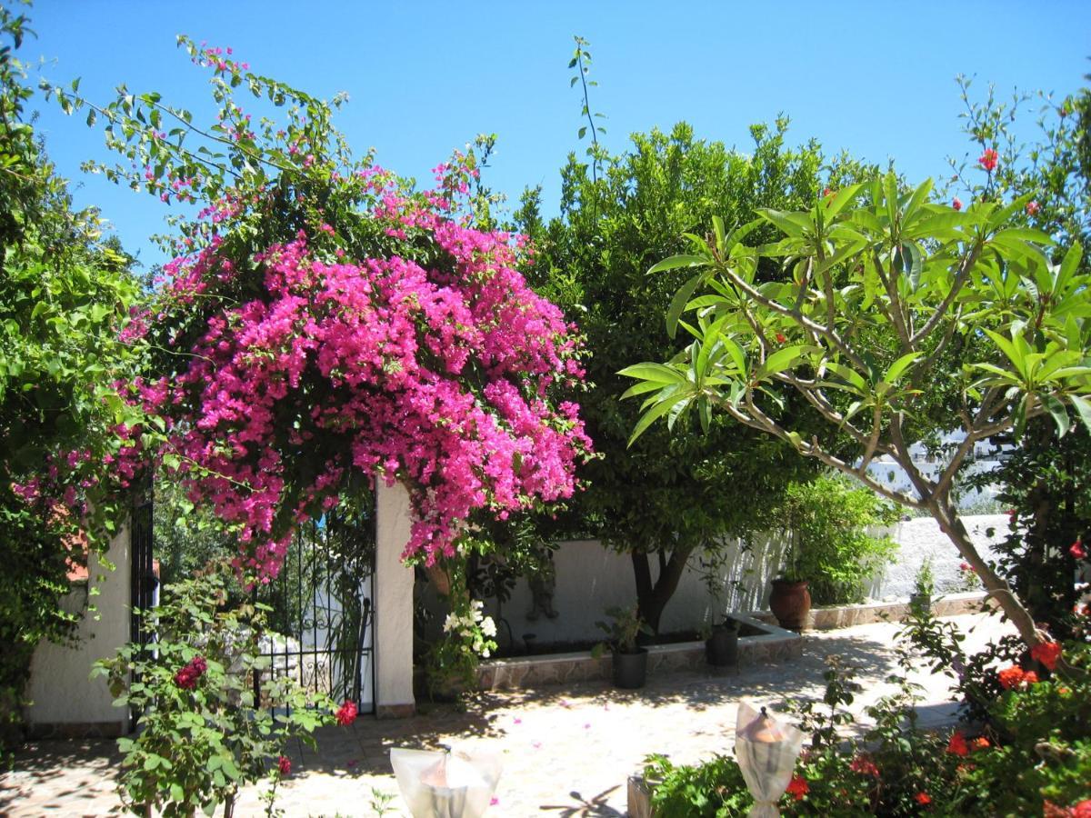 Eleftheria Lindian Studios I Λίνδος Εξωτερικό φωτογραφία